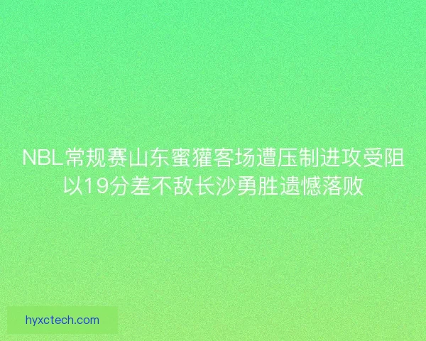 NBL常规赛山东蜜獾客场遭压制进攻受阻以19分差不敌长沙勇胜遗憾落败